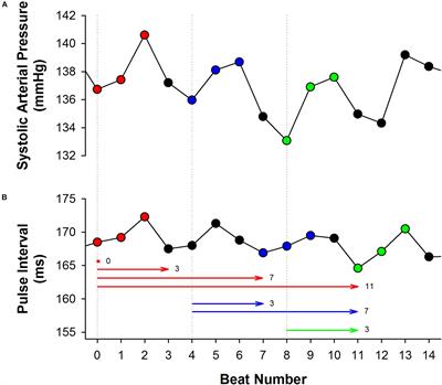 Revisiting the Sequence Method for Baroreflex Analysis